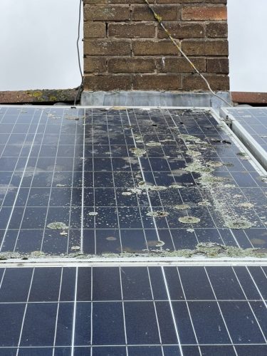 photo_2025-09-07 00.06.25